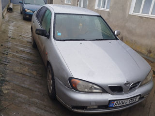 Nissan Primera foto 2