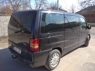 Pese vito cdi tdi foto 2