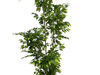 Arbore artificial ficus benjamin foto 1