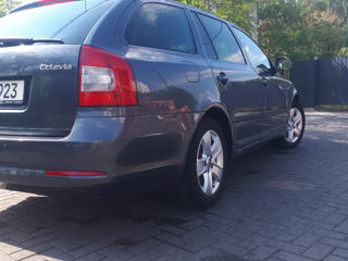 Skoda Octavia foto 7