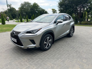 Lexus NX Series