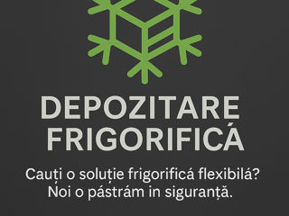 Depozitari frigorifice! foto 0