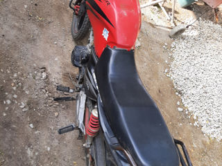 Viper zs 150 фото 0