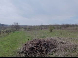 Budești teren agricol "grădină" 200 metri de la prima casă.Apă, gaz foto 7