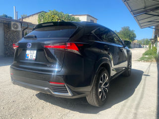 Lexus NX Series foto 5