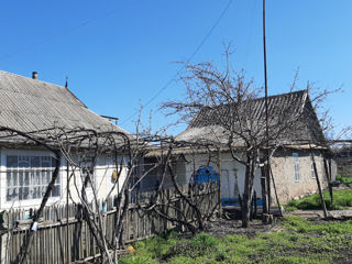 Casa+teren, s. Antonești, r. Ștefan Vodă. foto 3