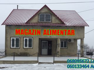 Magazin-Alimentar (Bar) foto 1