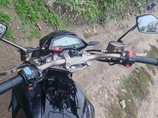 Geon Stinger 250 фото 2