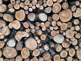 Пилю  дрова     валю   деревья. транспорт до 3 тон.
