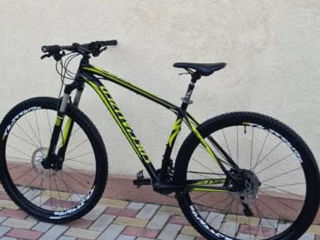 specialized creave L 29