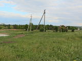 2,5 ha под строительство перекресток Рэуцел-Пырлица(бетонка) трасса Бэлцы - Кишинэу foto 7