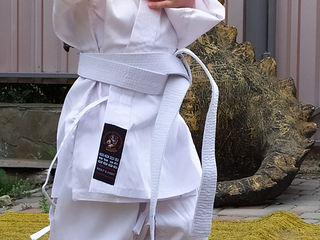 Kimono Jujitsu original  judo  кимоно дзюдо Джиуджитсу самбо каратэ  de la 700 kalitate inalta foto 8