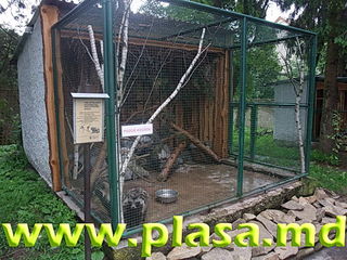 Plasa pentru custi,voliere,imprejmuire,tencuiala,umbrire,cernut,gabioane,armare foto 5