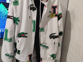 Lacoste