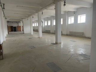 Arenda ! depozit- producere  680m2  .ne aflam str. uzinelor 5d(la vismos ),prima linie.