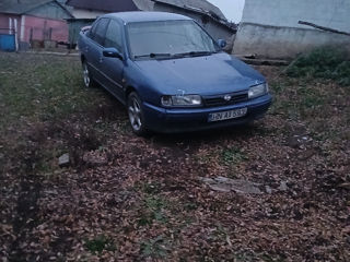 Nissan Primera foto 3