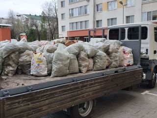 Вывоз мусора Evacuarea deseurilor  Hamali Грузчики  Грузоперевозки