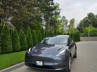 Tesla Model Y foto 1