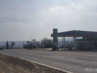 s. Cristești, Nisporeni, Moldova foto 1