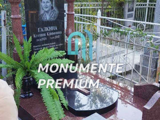 Monumente funerare din granit - orice complexitate - Monumente Premium foto 5