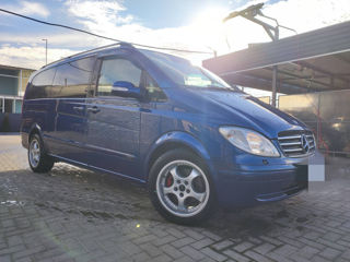 Mercedes Viano foto 2