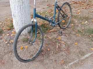 Biciclete foto 8