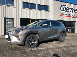 Lexus NX Series