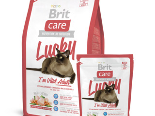 Доставка корма для кошек фирмы brit foto 5