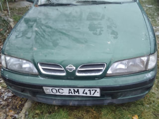 Nissan Primera