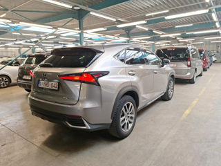 Lexus NX Series foto 3