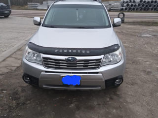 Subaru Forester foto 6