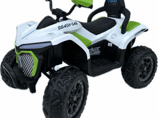 ATV Electric DLX-288 foto 1