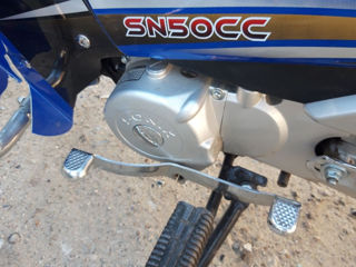 Sonic sn50 foto 6