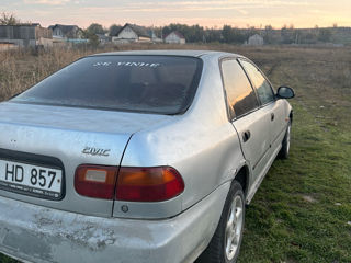 Honda Civic foto 6