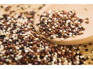 Seminte Quinoa tricolor / Киноа Трехцветная 500gr. foto 1