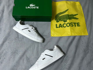 Lacoste foto 2