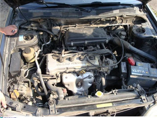 Nissan Primera foto 3