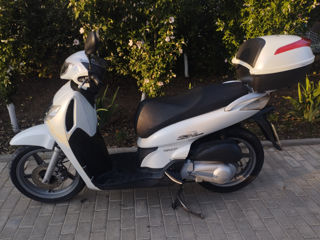 Honda Honda Sh150 foto 5