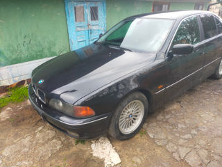 Pese e39 foto 2