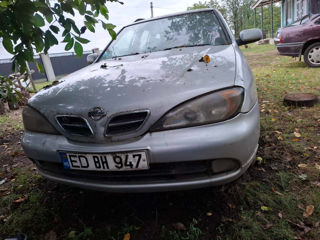 Nissan Primera foto 1