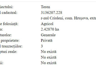 Teren 2,43 ha Zona Traseul M5 foto 5