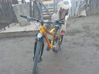 Bicicletă.