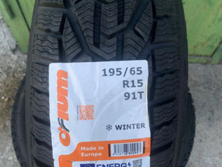 Anvelope Iarna 195/65R15