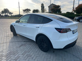 Tesla Model Y foto 4