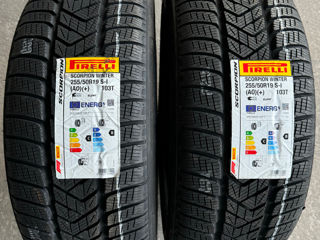 255/50 R19 Pirelli Scorpion Winter