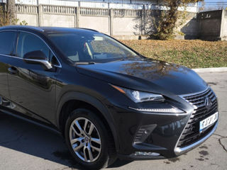 Lexus NX Series