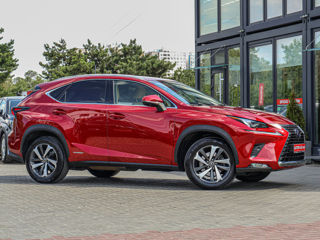 Lexus NX Series