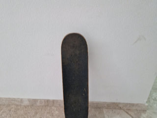 Skate jart foto 4