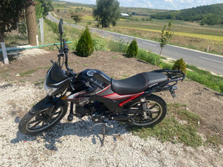 Viper Viper125 foto 3