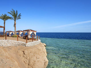 Sharm-el-Sheikh! "Sunrise Montemare Resort 5*! Din 31.08! foto 2